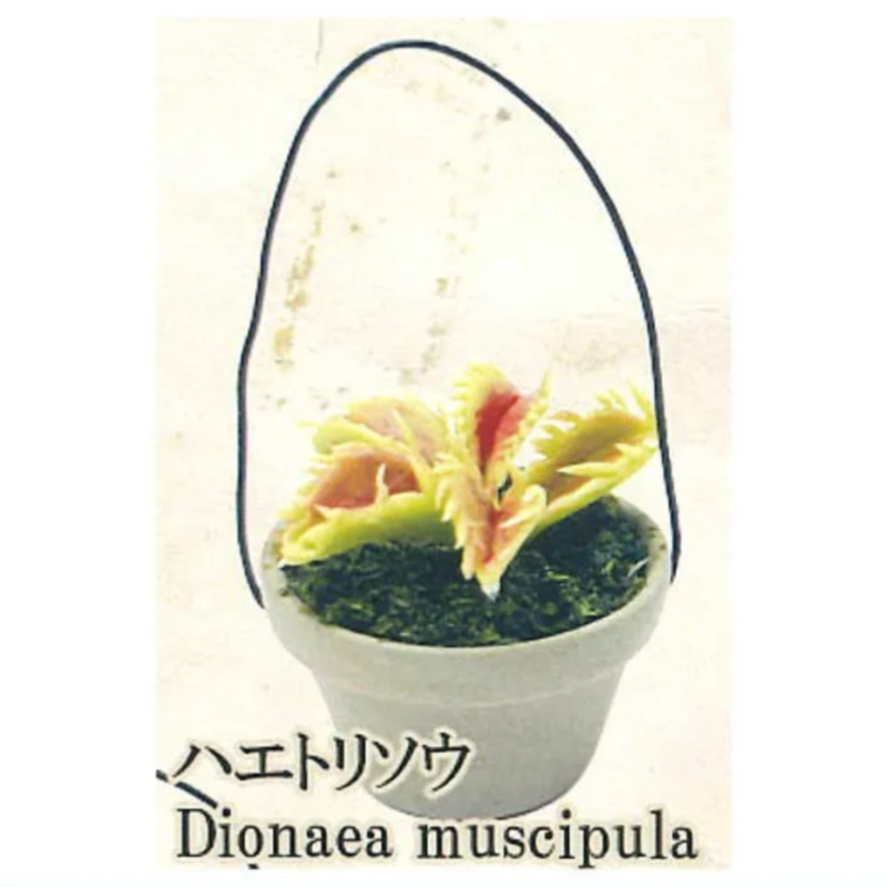 Japan Rainbow Gashapon Capsule - Capsule Toy Gashapon recensie en prijs
